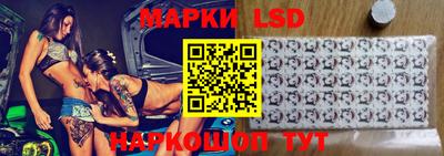 молекула духа Новозыбков