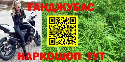 молекула духа Новозыбков