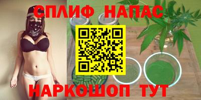 молекула духа Новозыбков