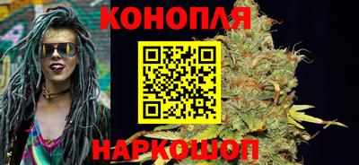молекула духа Новозыбков