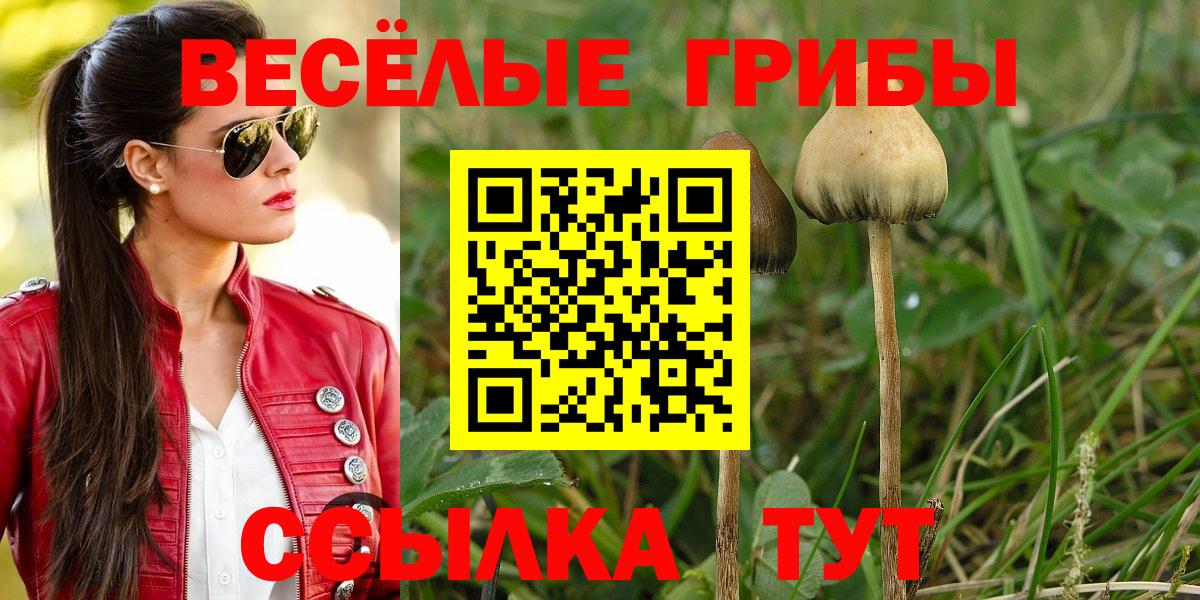 Ростов Великий  Галлюциногенные грибы мицелий  Вход с VPN 